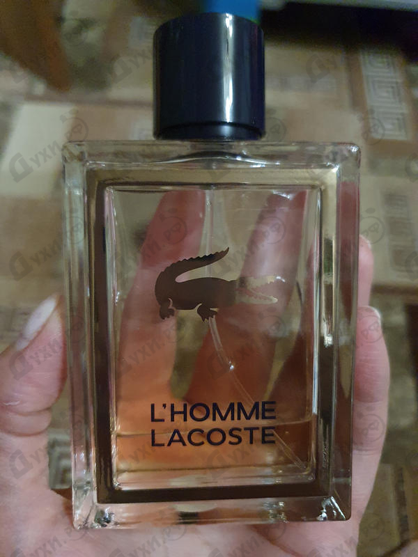 Купить L'homme от Lacoste