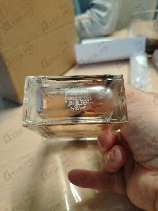 Купить L'homme от Lacoste