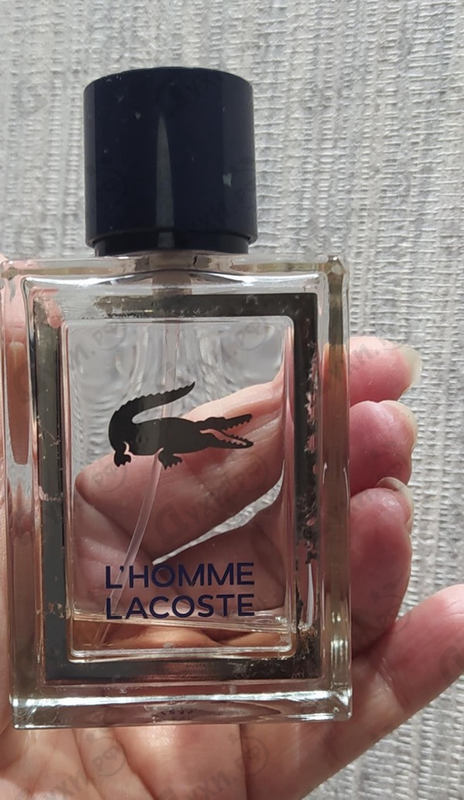 Отзыв Lacoste L'homme