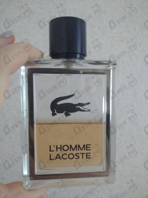 Купить L'homme от Lacoste