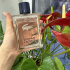 Отзыв Lacoste L'homme