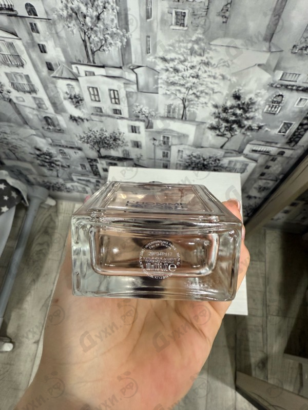 Купить Lacoste L'homme