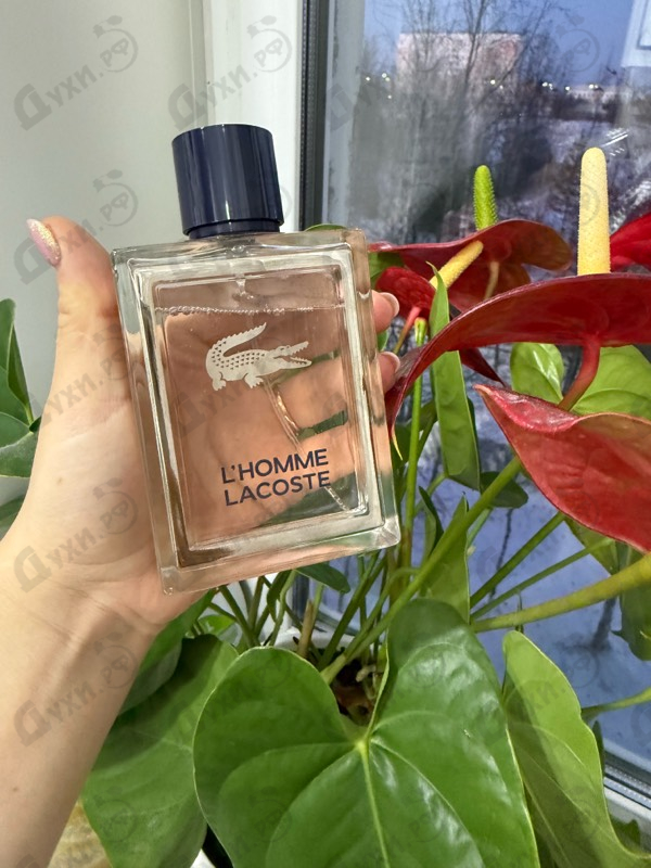 Купить L'homme от Lacoste
