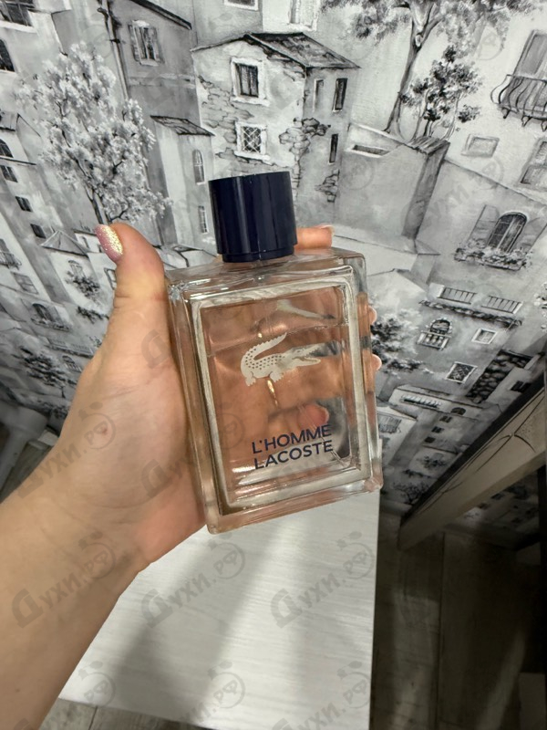 Купить L'homme от Lacoste