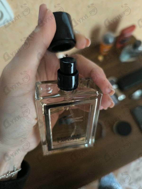 Купить L'homme от Lacoste