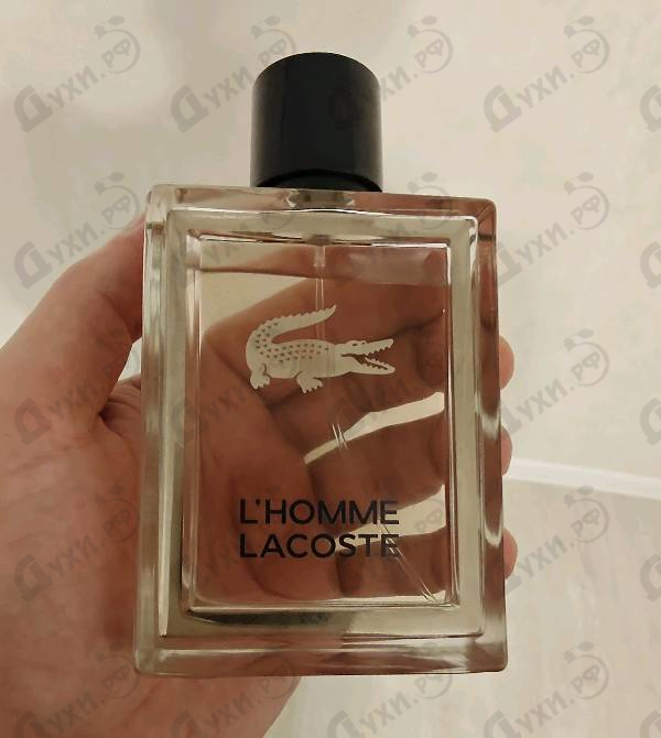 Купить Lacoste L'homme