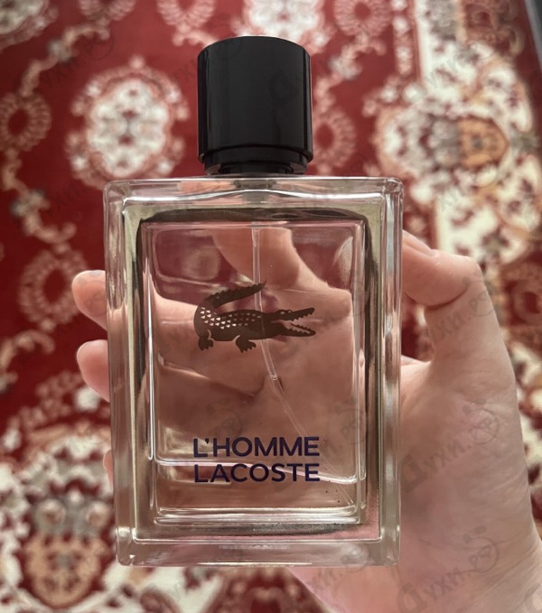 Парфюмерия L'homme от Lacoste