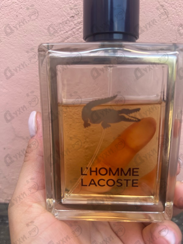 Парфюмерия L'homme от Lacoste