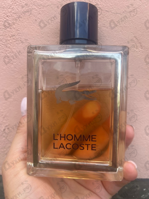 Купить L'homme от Lacoste