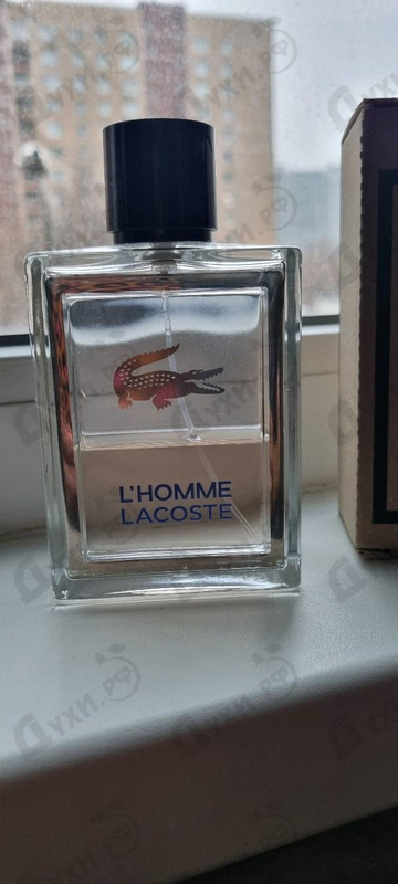 Купить L'homme от Lacoste