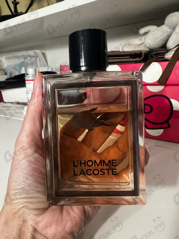 Парфюмерия L'homme от Lacoste