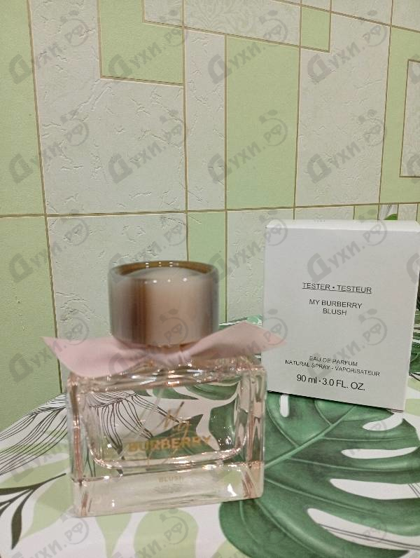 Купить Burberry My Burberry Blush