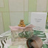 Духи My Burberry Blush от Burberry