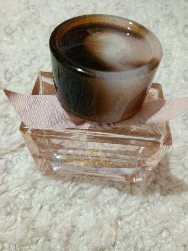 Купить Burberry My Burberry Blush