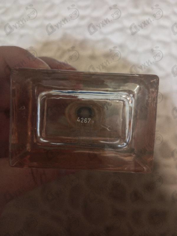 Купить Burberry My Burberry Blush