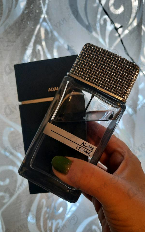 Купить Adam Levine For Men