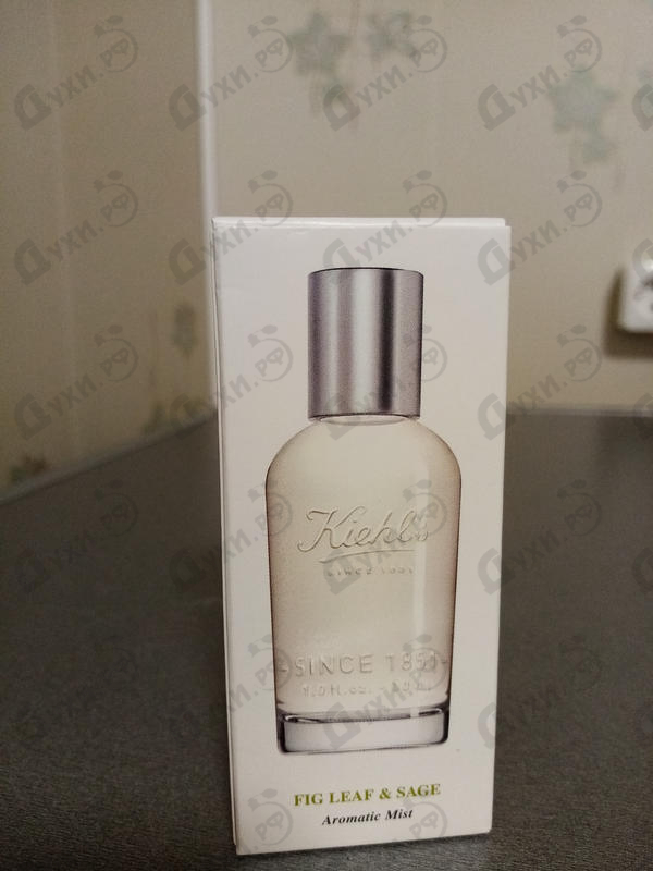 Купить Kiehl`s Fig Leaf & Sage Духи Fig Leaf & Sage от Kiehl`s