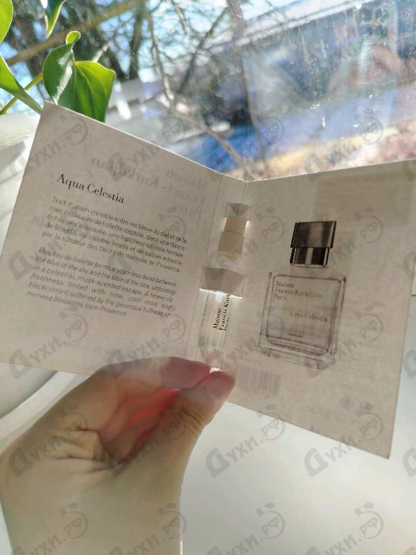 Купить Aqua Celestia от Maison Francis Kurkdjian