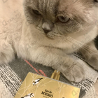 Духи Eau De Memo от Memo