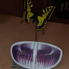 Отзыв Thierry Mugler Alien Eau Sublime