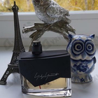 Парфюм Yohji Yamamoto I'm Not Going To Disturb You Femme