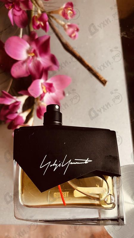 Отзывы Yohji Yamamoto I'm Not Going To Disturb You Femme