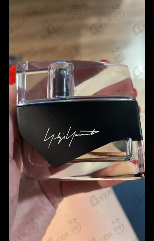 Купить Yohji Yamamoto I'm Not Going To Disturb You Femme