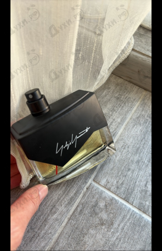 Купить Yohji Yamamoto I'm Not Going To Disturb You Femme