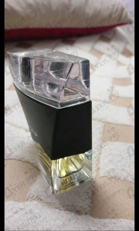 Духи I'm Not Going To Disturb You Femme от Yohji Yamamoto