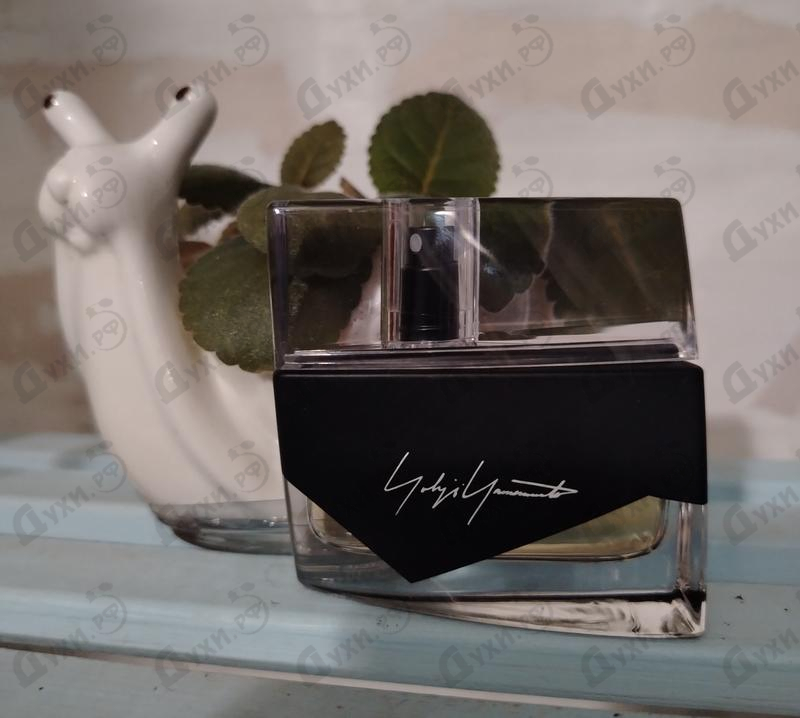 Купить Yohji Yamamoto I'm Not Going To Disturb You Femme