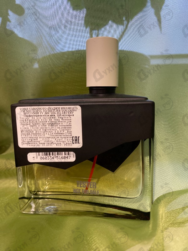 Отзыв Yohji Yamamoto I'm Not Going To Disturb You Femme