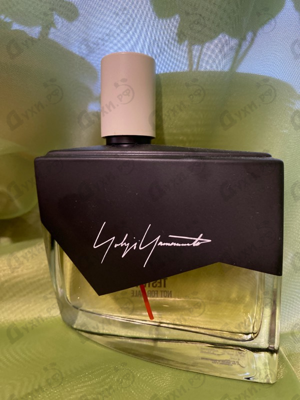 Купить Yohji Yamamoto I'm Not Going To Disturb You Femme