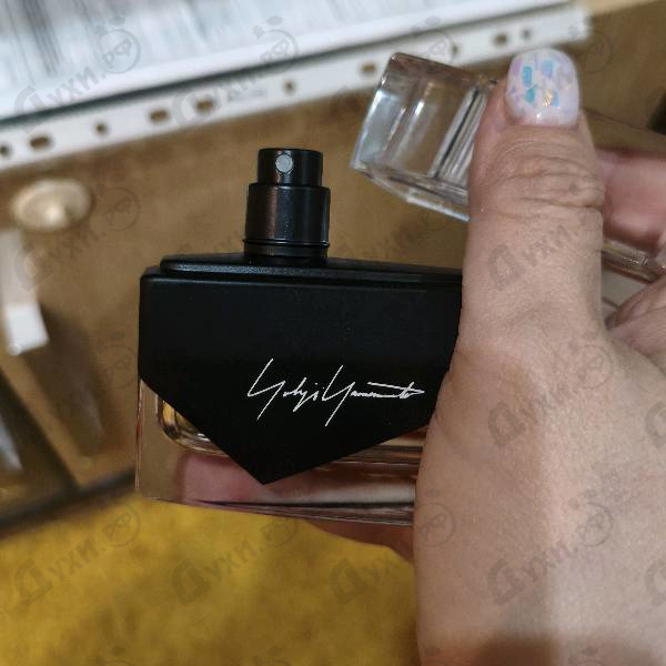 Купить Yohji Yamamoto I'm Not Going To Disturb You Femme