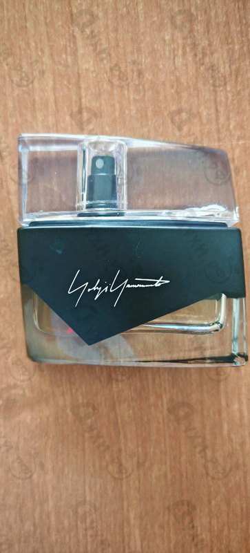 Купить I'm Not Going To Disturb You Femme от Yohji Yamamoto