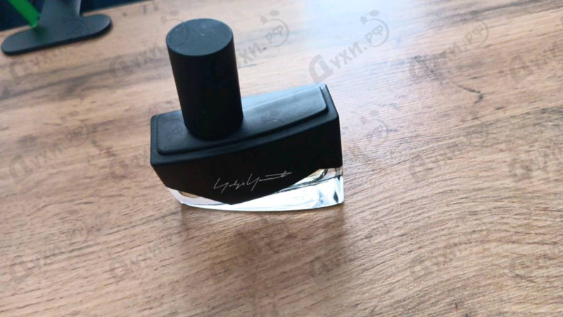 Купить I'm Not Going To Disturb You Femme от Yohji Yamamoto