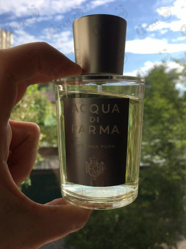 Отзывы Acqua Di Parma Colonia Pura