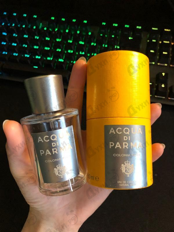 Парфюм Acqua Di Parma Colonia Pura Духи Colonia Pura от Acqua Di Parma