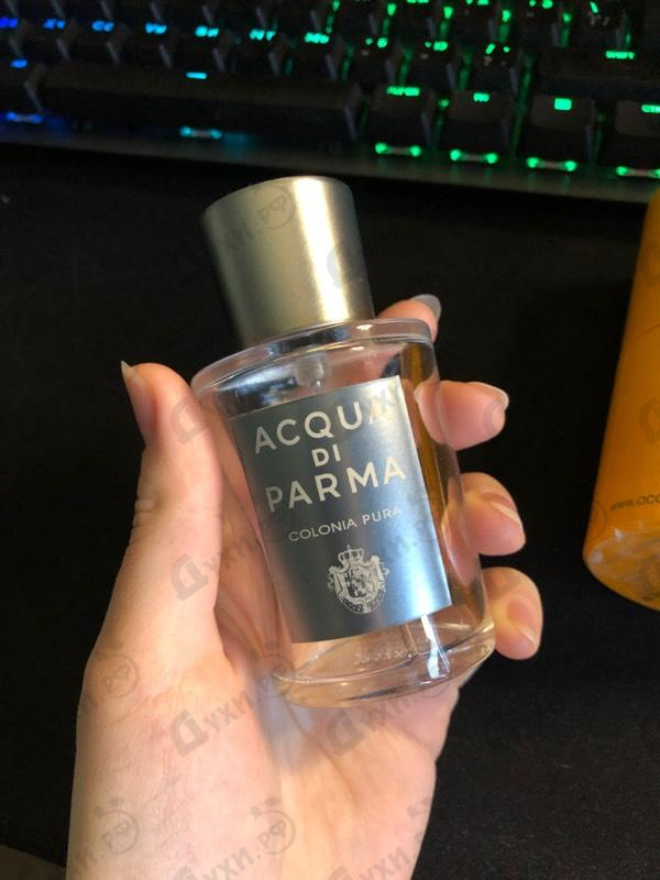 Отзывы Acqua Di Parma Colonia Pura