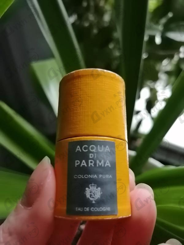 Духи Colonia Pura от Acqua Di Parma