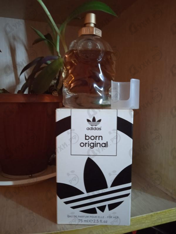 Купить Born Original For Her от Adidas