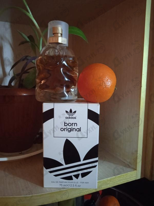 Купить Born Original For Her от Adidas