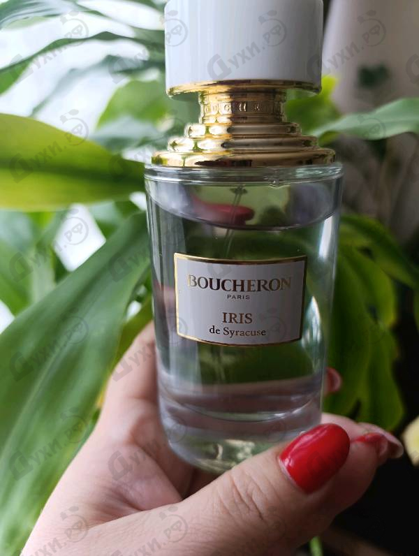 Купить Boucheron Iris De Syracuse