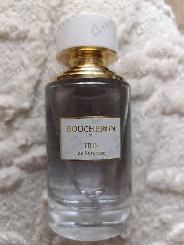 Купить Iris De Syracuse от Boucheron