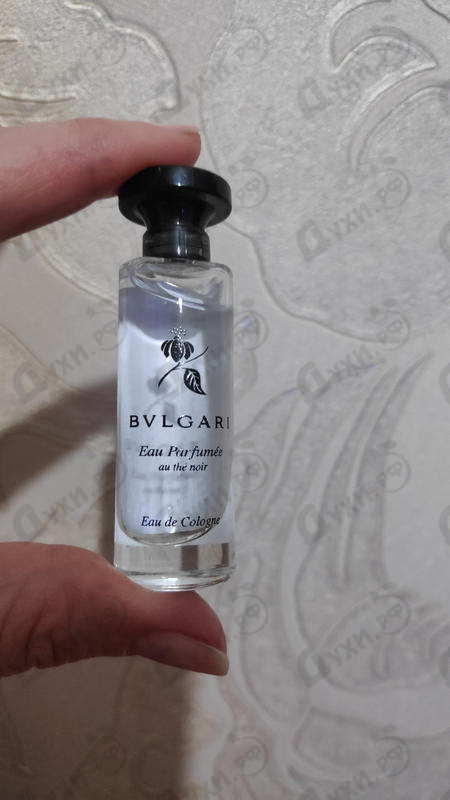 Отзыв Bvlgari Eau Parfumee Au The Noir