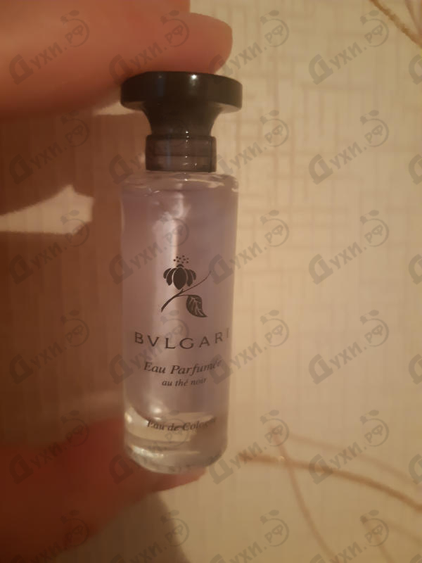 Парфюмерия Eau Parfumee Au The Noir от Bvlgari Парфюмерия Bvlgari Eau Parfumee Au The Noir