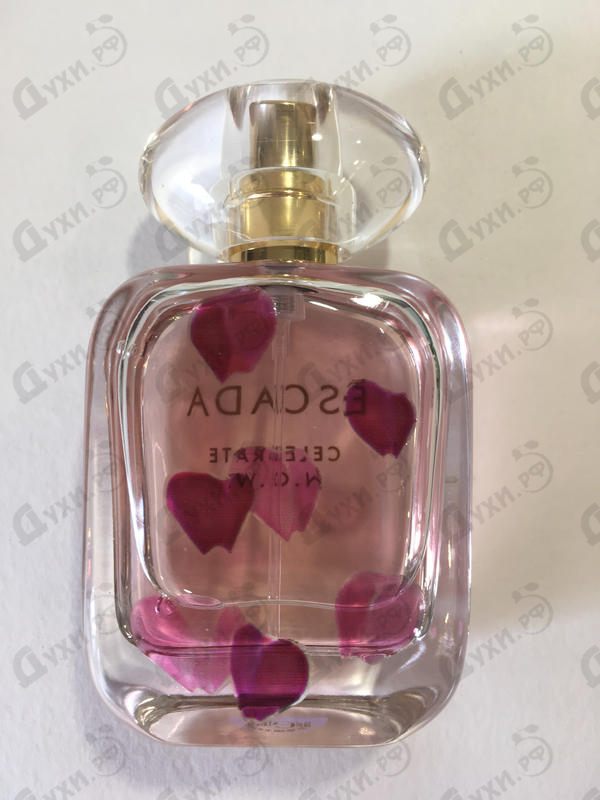 Купить Escada Celebrate N.o.w.