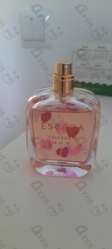 Купить Celebrate N.o.w. от Escada