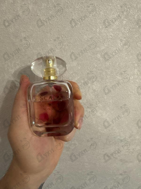 Отзыв Escada Celebrate N.o.w.