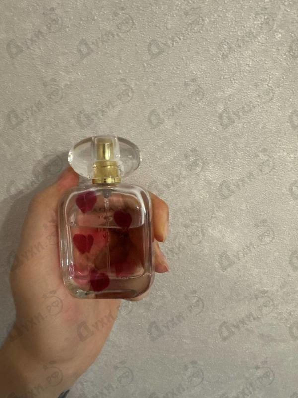 Парфюмерия Escada Celebrate N.o.w.