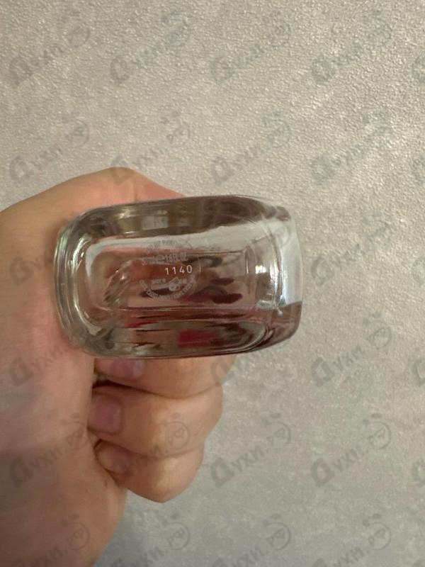 Парфюмерия Celebrate N.o.w. от Escada